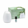 Kit aromaterapia a lavoro BLOOM BIANCOSPINO con O.E. Menta BIO - Nasoterapia